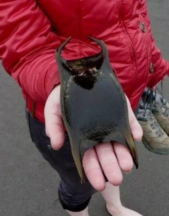 23个你可能没有见过的事物，怪异构造的四人跷跷板