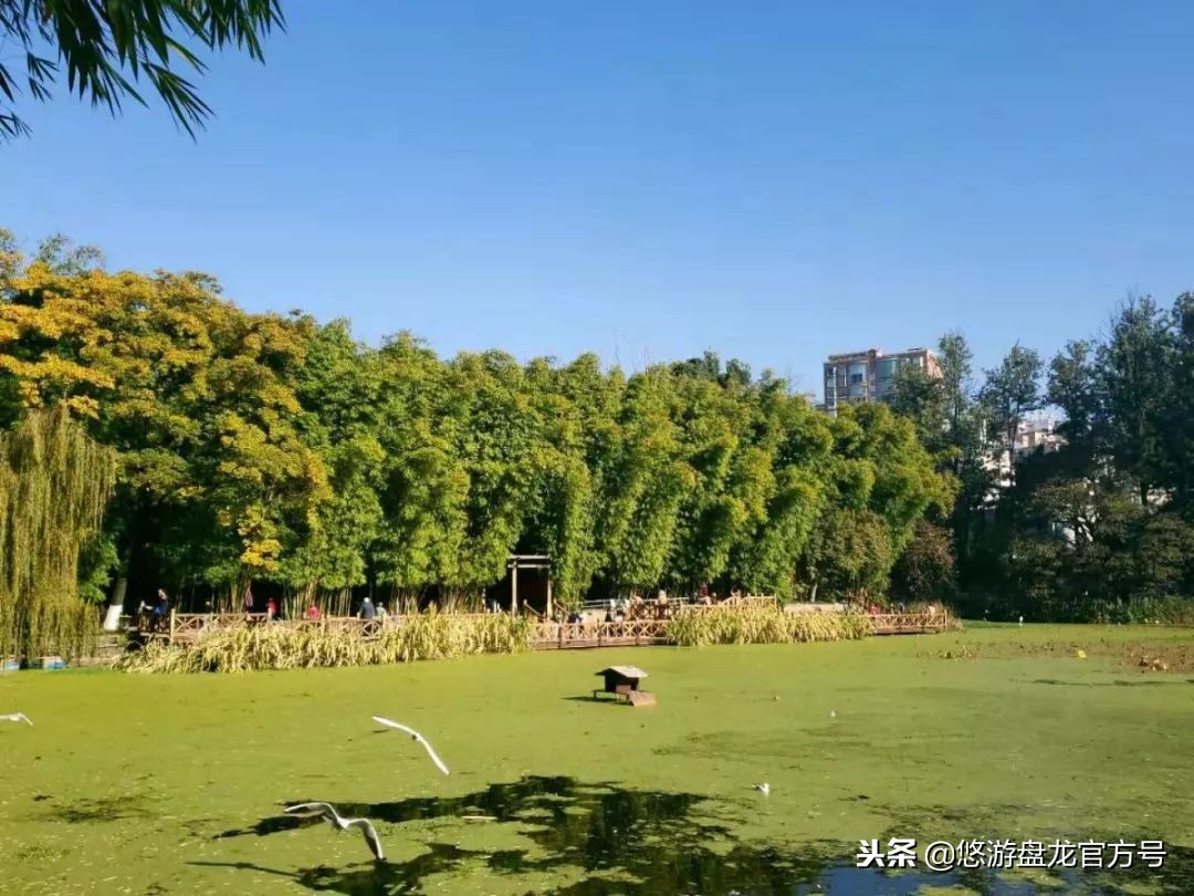 资讯｜昆明绝佳十大文艺拍照圣地，全部去过的请举手！