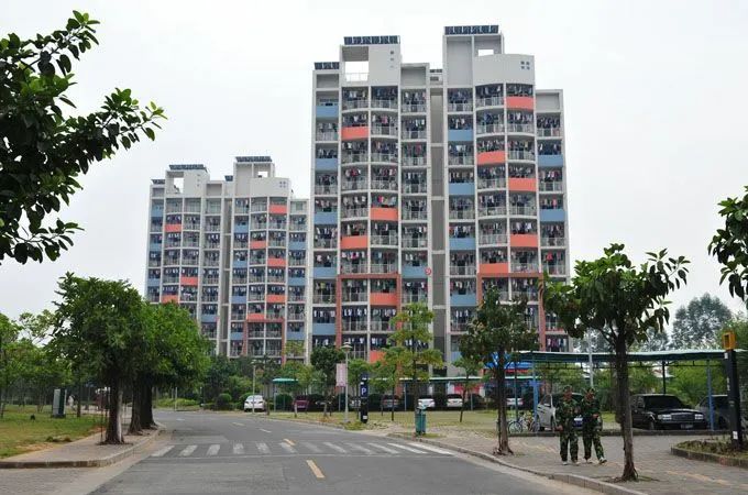 高职高考必看｜全面了解江门职业技术学院