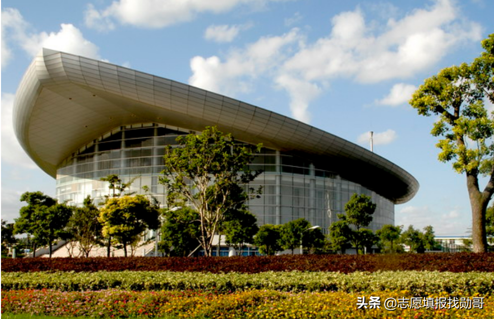 上海立信会计学院2019年录取数据分析，为何外省高分，本地垫底？