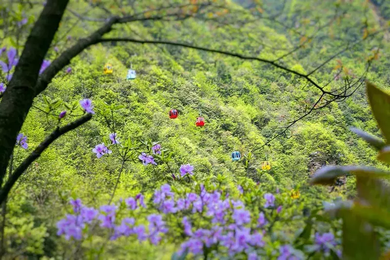 利川旅游景点排名（利川有哪些好玩的地方）-第6张图片-巴山号