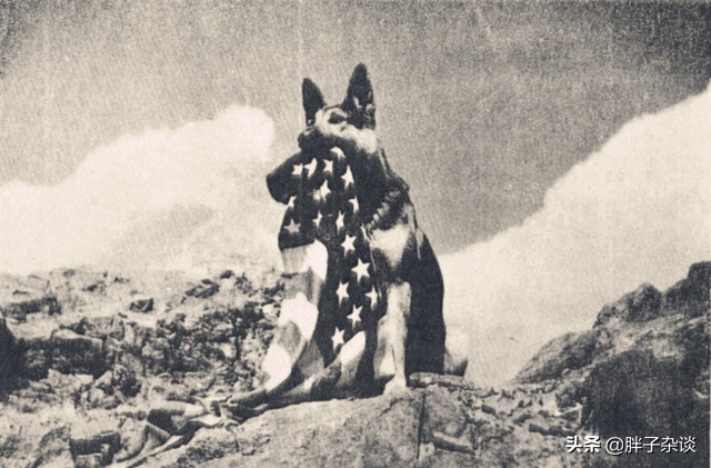 二战关岛战役简介（二战太平洋战场关岛之战：美军损失一千多人，歼敌两万余人）