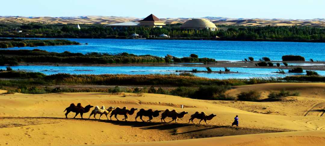 这些精品旅游线路，就是你爱上内蒙古的理由！
