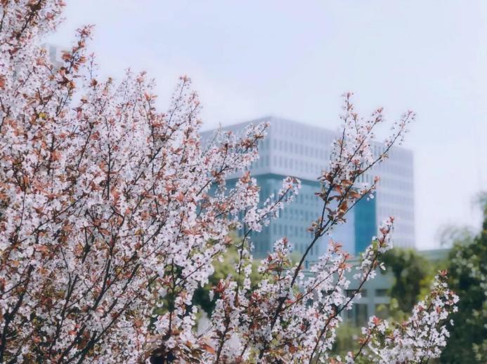 羡慕！西南财经大学