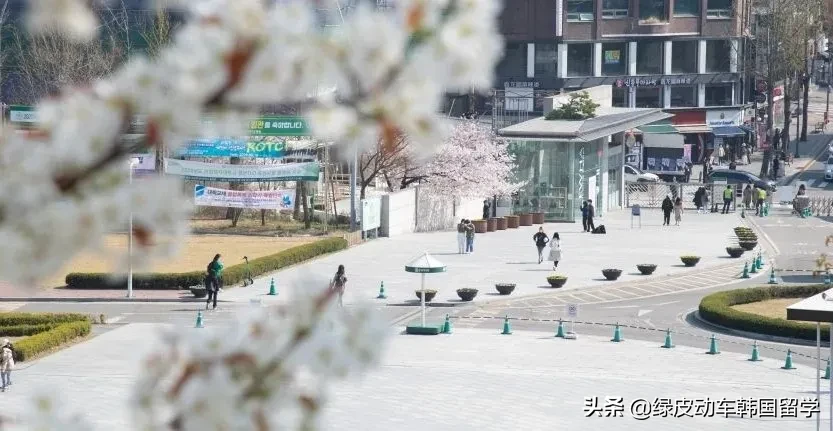 别再犹豫了！明年三月韩国留学，入学真的还有机会！（本科篇）