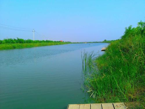 郑州孟婆汤(郑州“孟婆汤”一夜成名，散场后垃圾遍地，环卫工人称清扫至凌晨)