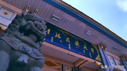 23个省中，2020年省内排名前3的大学！青海篇