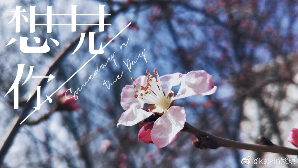 今年的南开大学录取通知书，火火火了