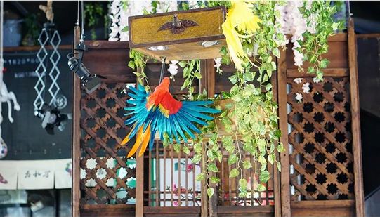 带你品味地道昆明老滋味~79元抢昆明老孔雀傣味酸汤火锅套餐！