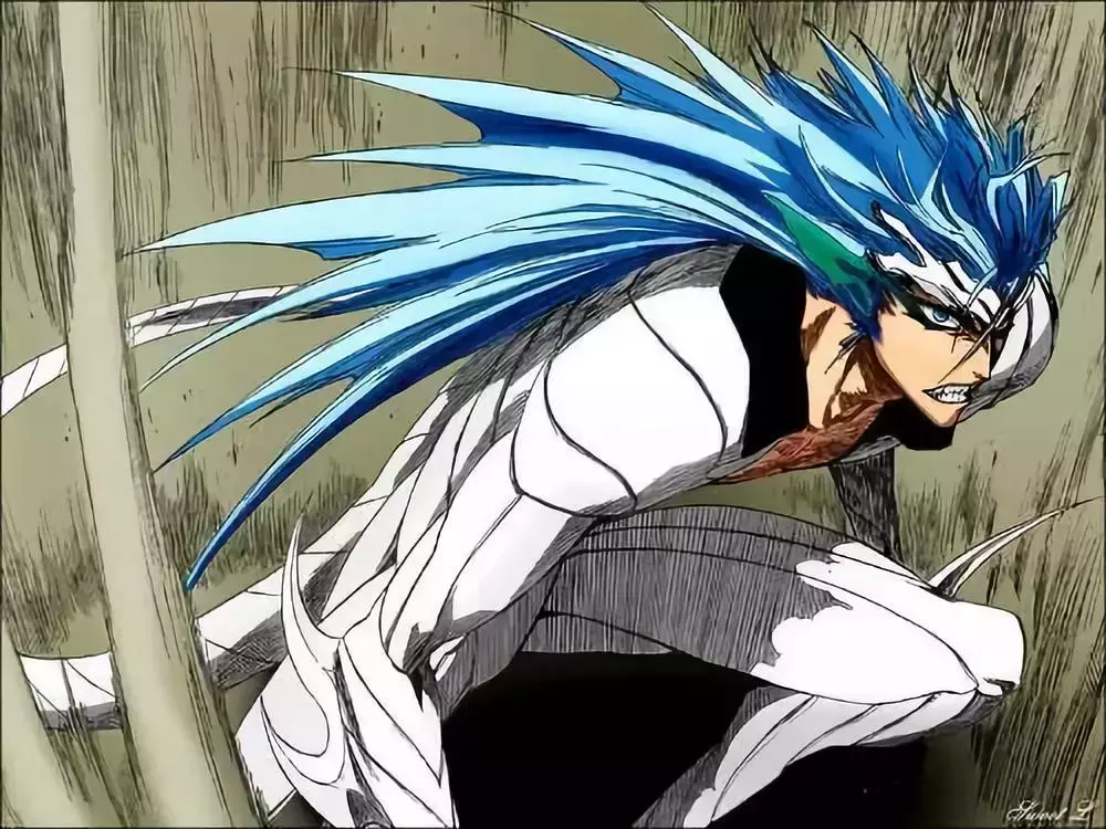 《死神BLEACH》中的十刃,你知道象征哪十种死亡因素吗?