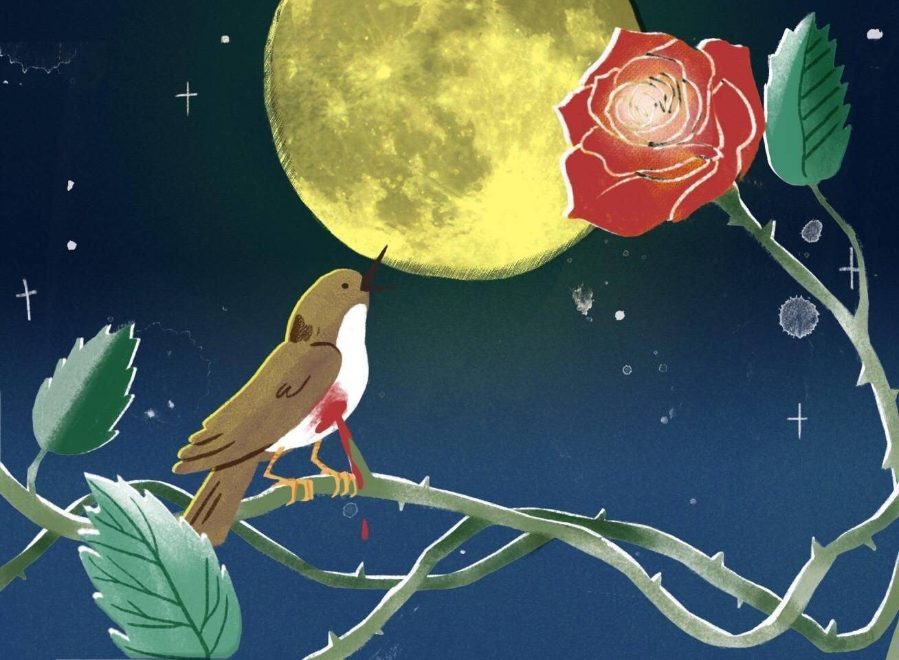 《夜莺与玫瑰》：王尔德唯美主义风格的悲剧童话，是他的人生缩影