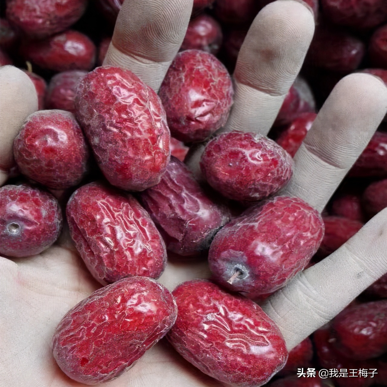 新疆特产，原生态树上吊干灰枣，枣香浓郁，甜