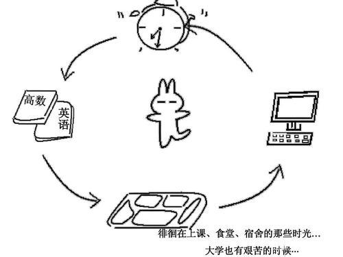 上了大学，我最大的收获，是学会生活给自己看