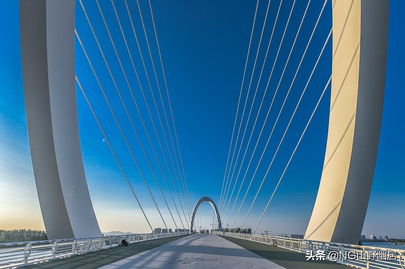 南京青奥森林公园简介(南京眼步行桥：颇具艺术范的跨江大桥，赏长江美景的好地方)