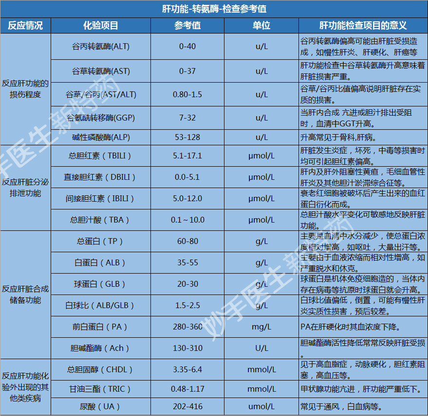 一张图了解：肝功能18项检正常范围