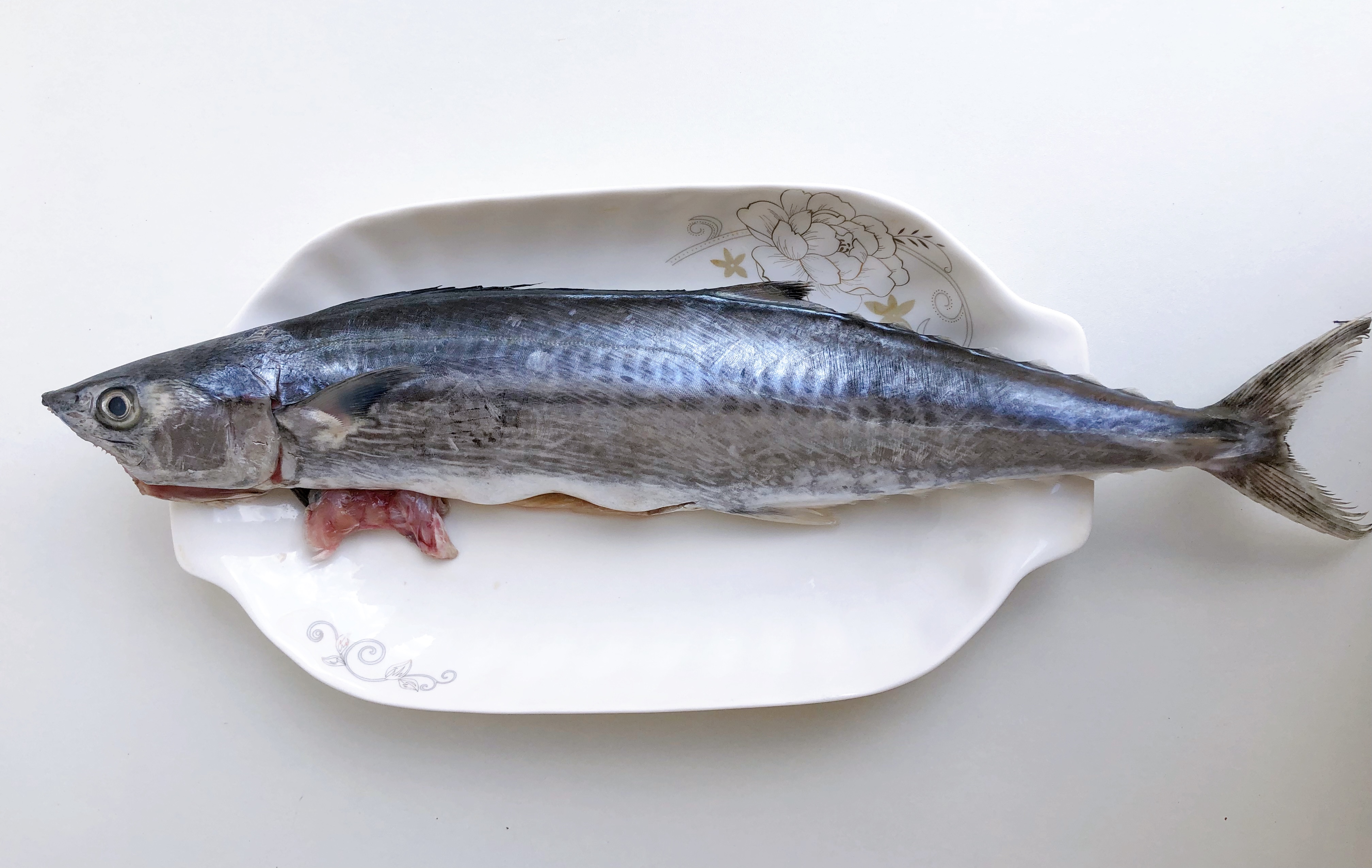 鲅鱼好吃有秘诀,学福建人做法,鲜嫩无腥味,营养不流失,真鲜美