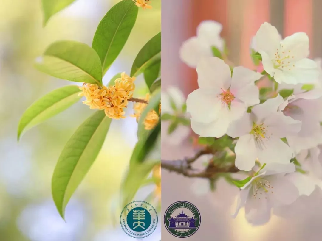 震撼!全国高校最美秋景大PK,哪所高校最最最惊艳?