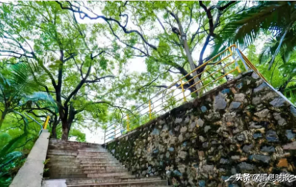 投入100亿，广州交通大学选址黄埔！校名却让网友吵翻……