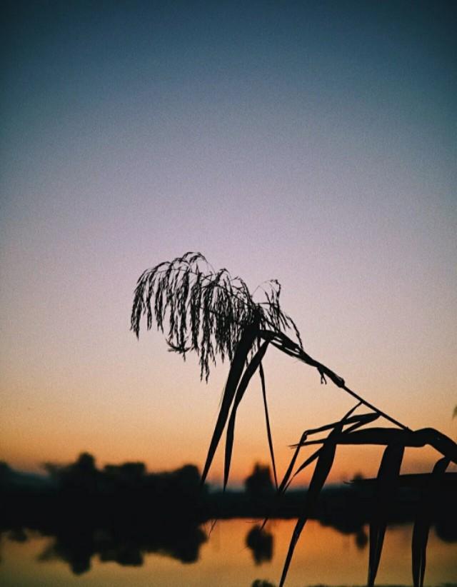 一幅剪影照片，让你快速成为女神，成为朋友圈的焦点