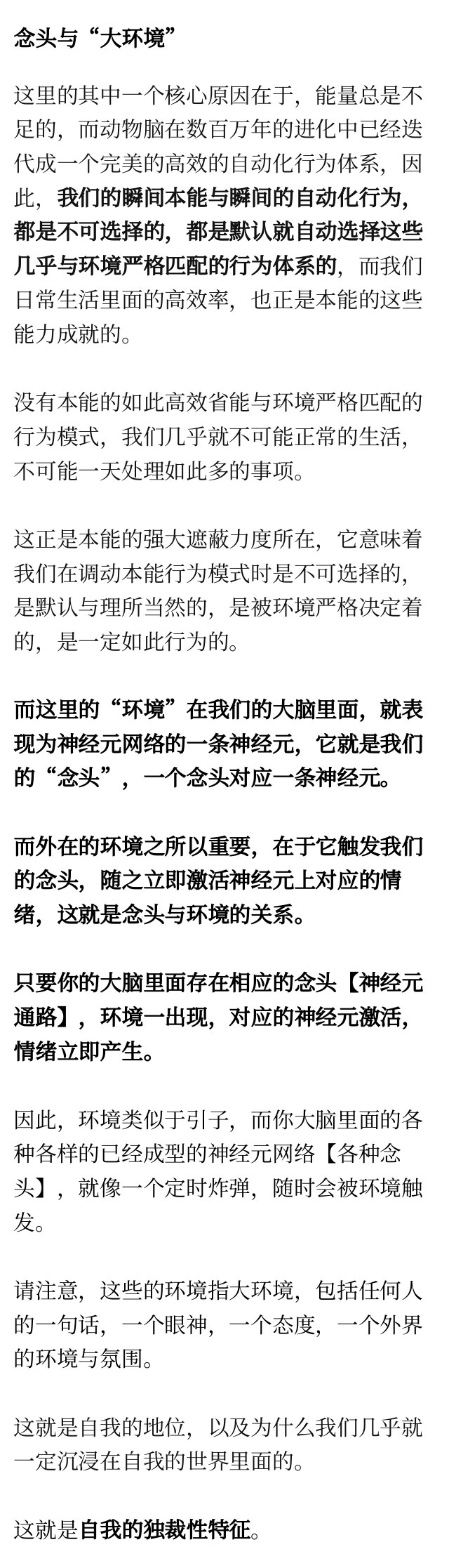 让我真正开悟的，是终极反思