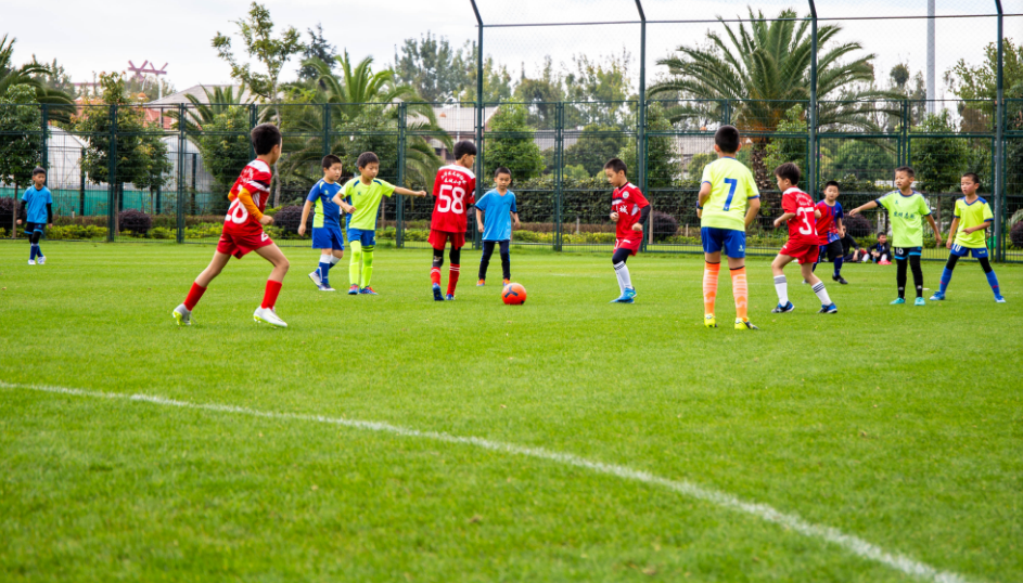 校园足球训练教学视频（大力发展校园足球，让每位学生掌握1至2项运动技能）