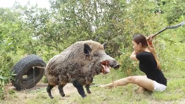 伊春农民遭400斤野猪袭击，我国多地野猪泛滥成灾，还用保护它吗