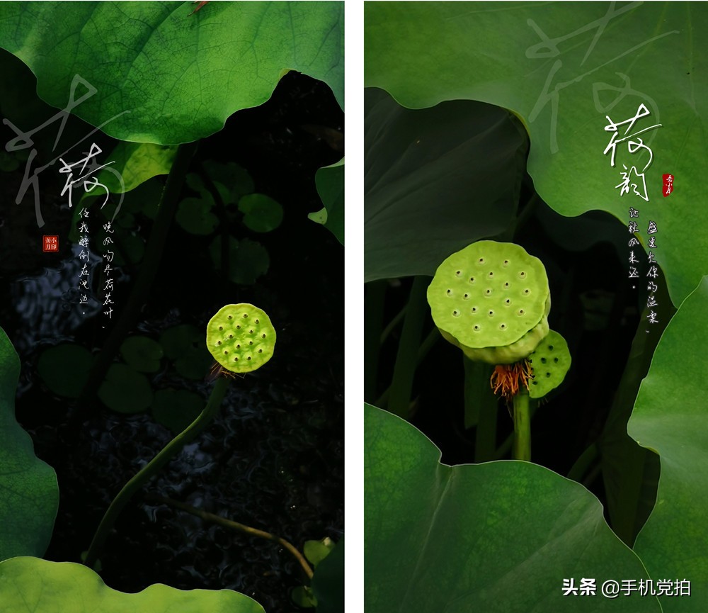 给照片加水印｜教你手机制作2种“仿古小印章”，很国风