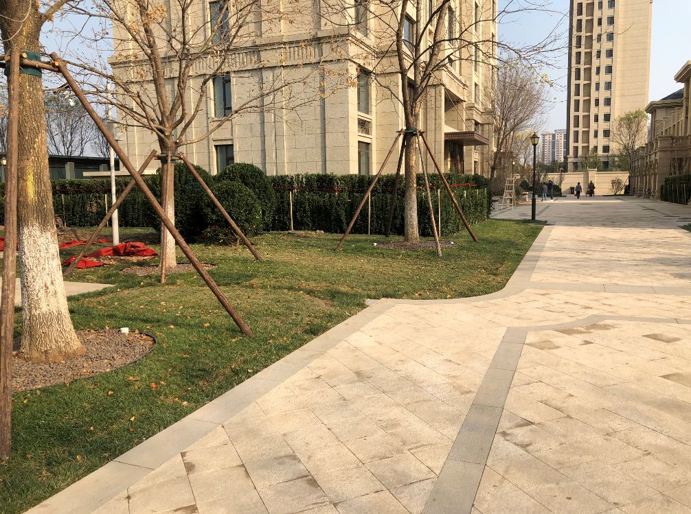 小区绿地多在别墅旁,30%绿化率真实性惹争议