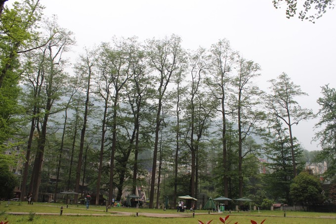 四川彭州白鹿镇二日游“最牛教学楼