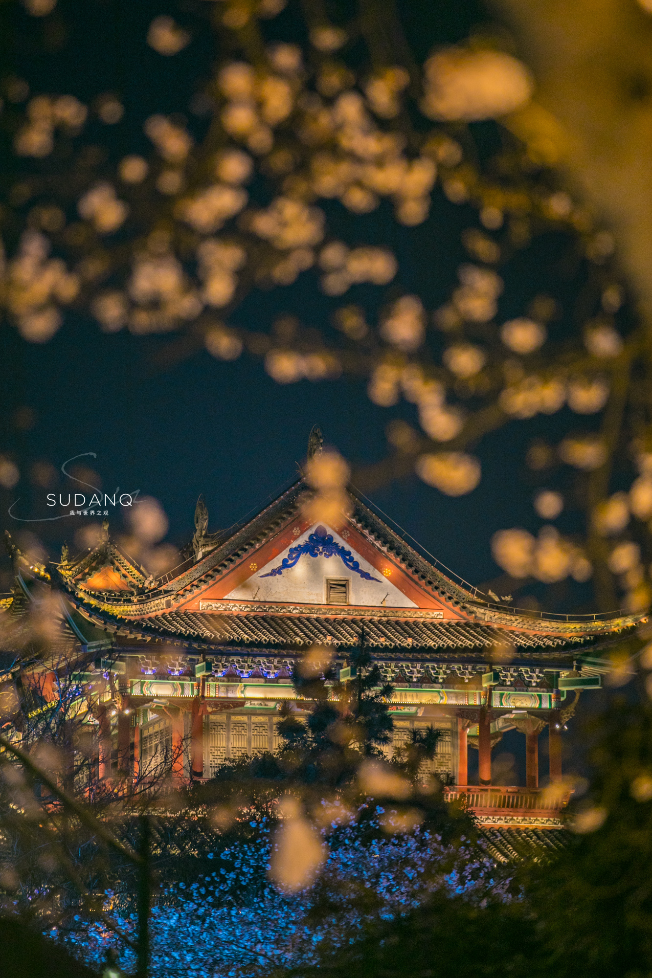 樱花配古建，晴川阁比黄鹤楼更唯美！武汉樱花之旅千万别错过这里