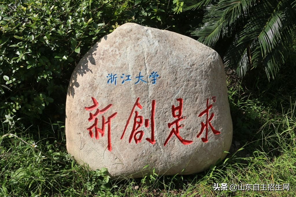 自荐信专题 | 浙江大学自主招生自荐信范文，2019自主招生参考