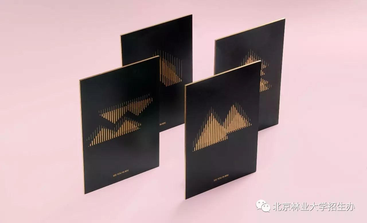 为了讲好八个字的校训，这所学校用了三年...