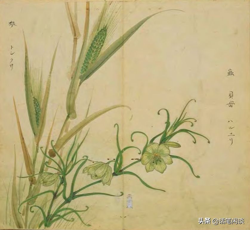 日本学者用心为《诗经》编了数百种图解，万物有灵，又美又细腻