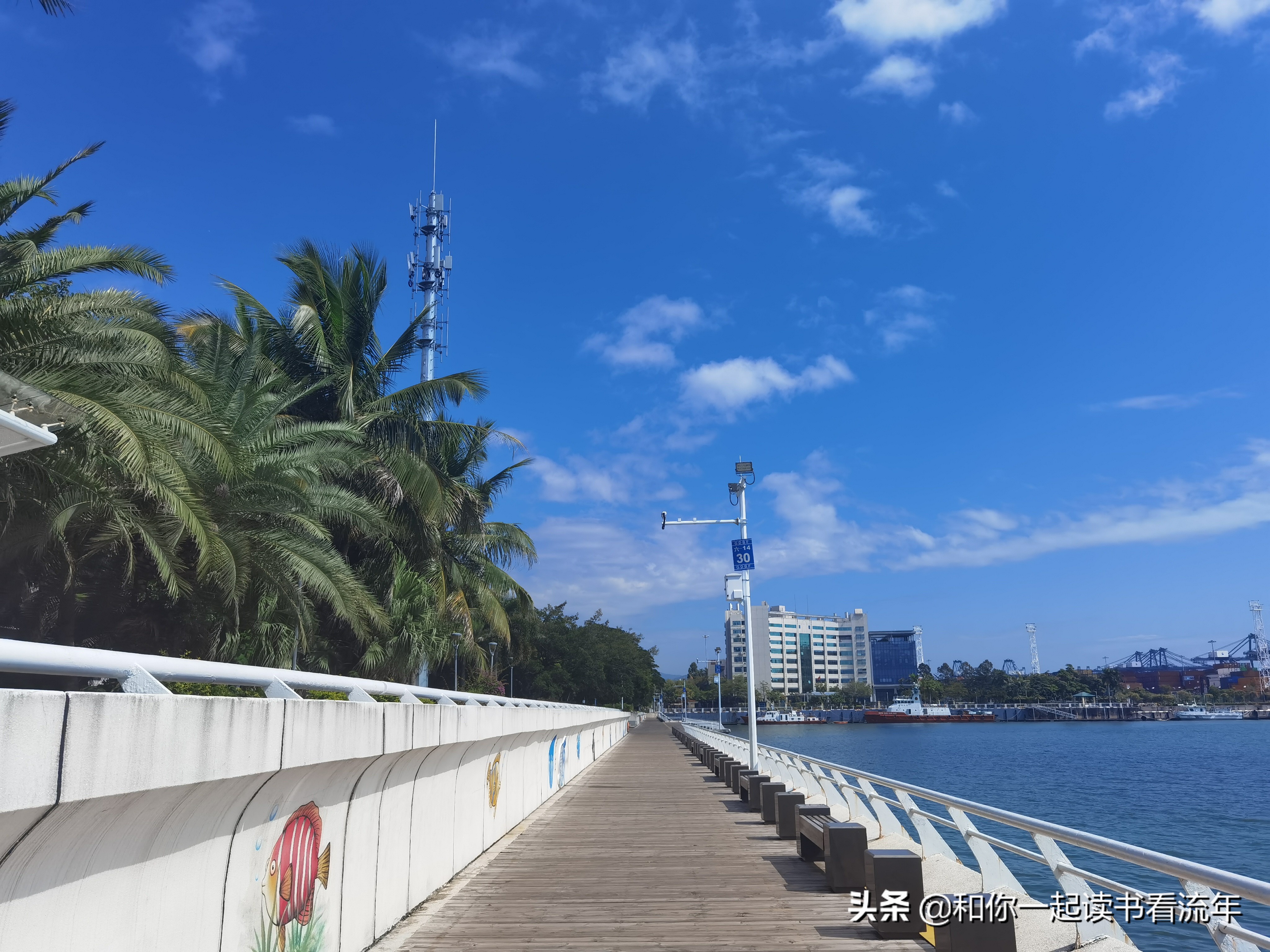 美好人间：漫步盐田海滨栈道，享受治愈之蓝