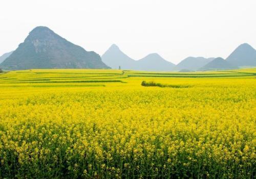 云南旅游适合几月份去（云南旅游适合什么季节去）-第2张图片-巴山号