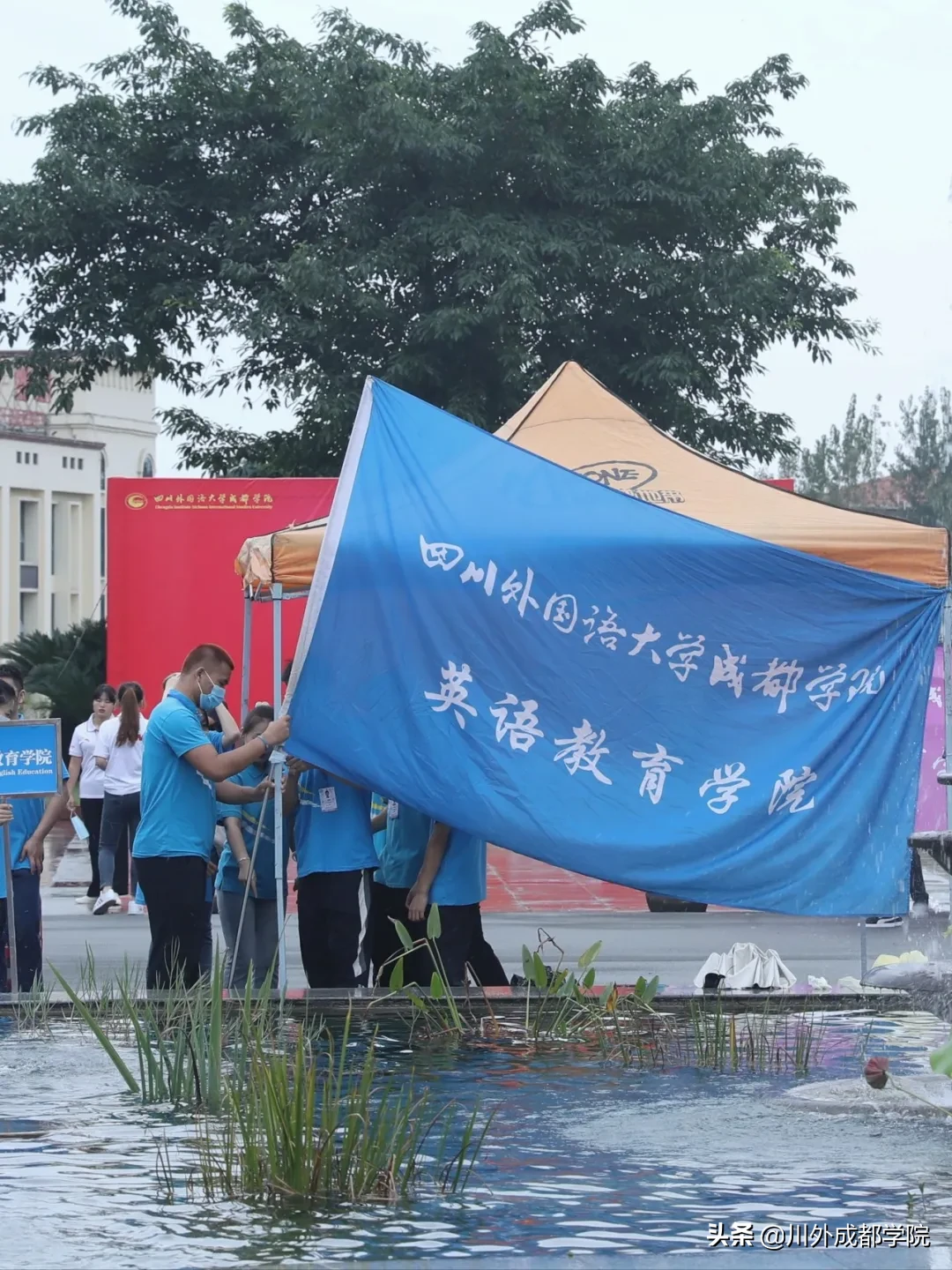 2020级萌新报到！欢迎最年轻的四川外国语大学成都学院人