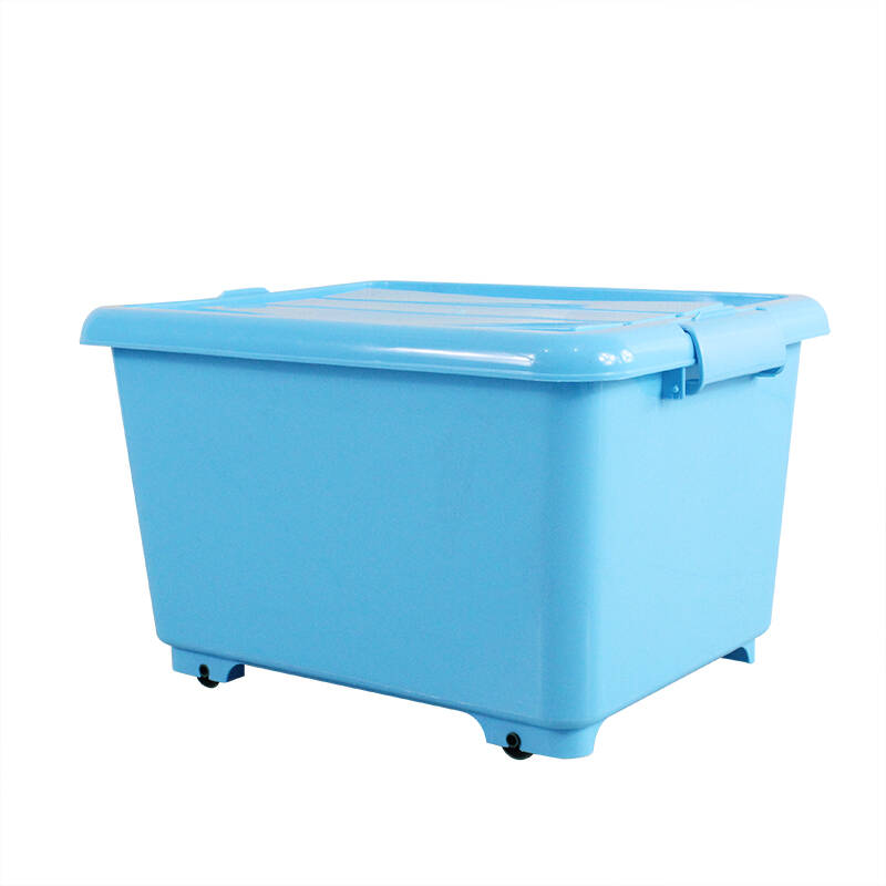 大学宿舍算是重点生活区，但非常简陋，来到宿舍都会装饰吗？