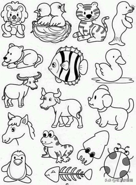 各种小动物的100种画法,简单实用的素材