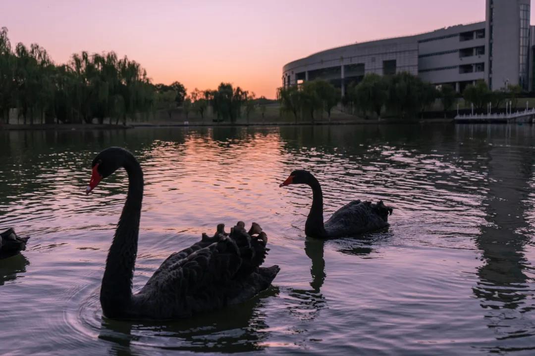 5大校区，占地超7千亩，图书馆藏书340余万册！安徽这所高校大到