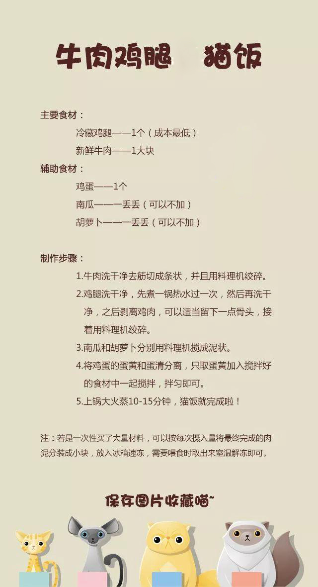 2分钟搞定的简易猫饭，比泡面还要简单