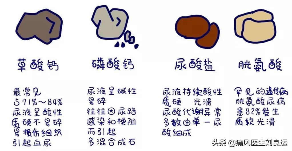 治痛风用药降尿酸需定期做什么检查？六项指标及时发现肾脏问题