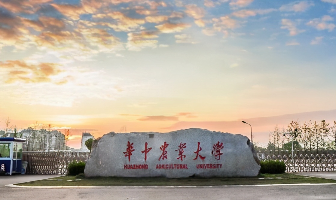 录取成绩分析：2021年艺考生报考华中农业大学需要多少分？