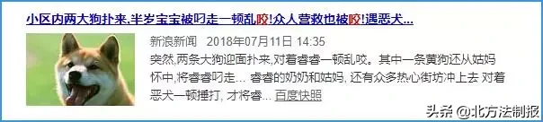 女子遛3只狗不牵绳！湖北男子遭狗撕咬下体受伤严重，缝了30多针