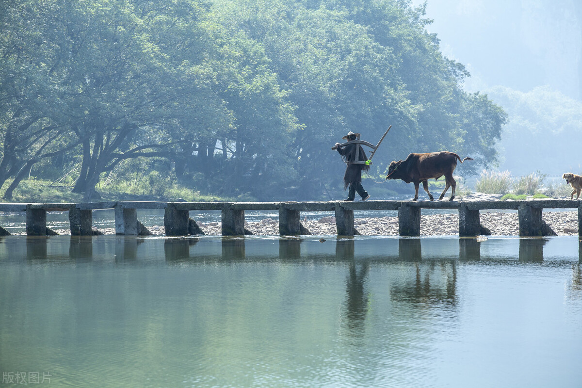 中国最美仙都，一个自带仙气的景区，每一帧都是大片的既视感插图10