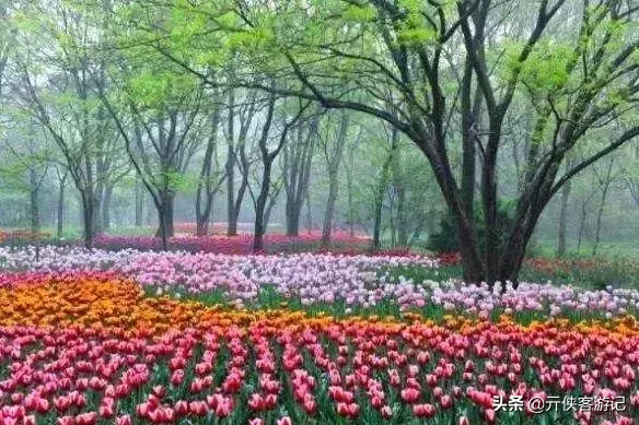 你知道《人民的名义》在哪里取景的吗？