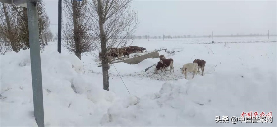 雪落无声 心中有责——致敬民警风雪中的坚守