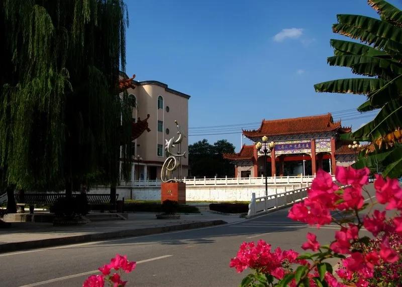 清华、北大录取多人！衡阳六所重点高中“重点班”盘点