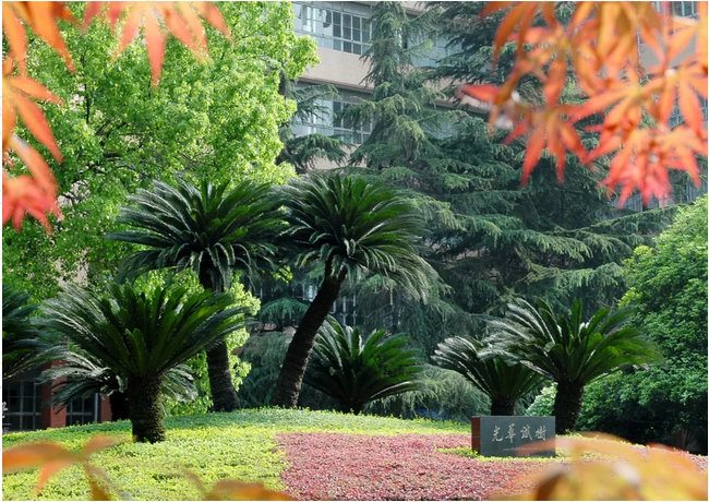 西南财经大学保险学院（Hi）