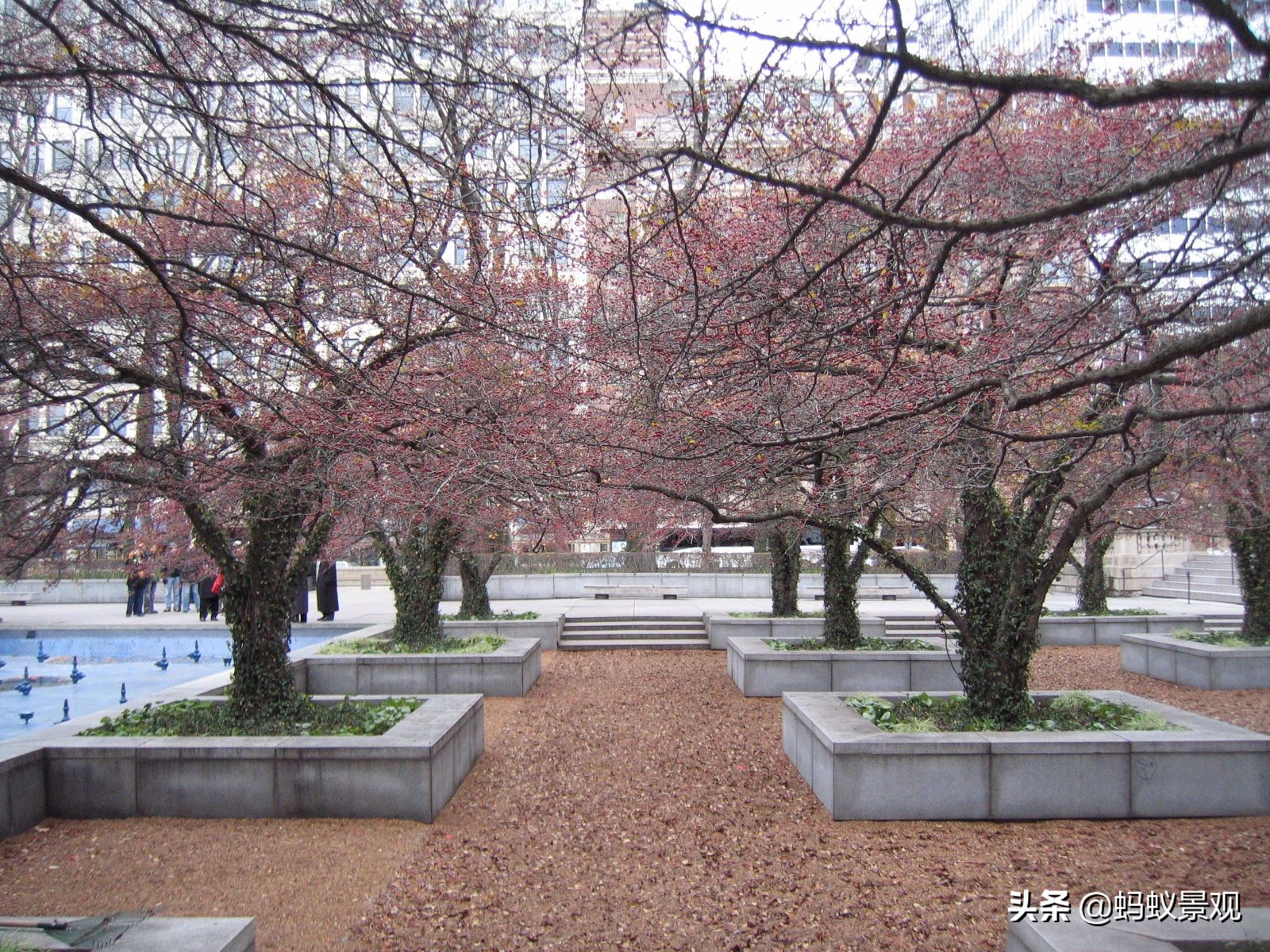 美国景观大师丹·克雷的设计哲学