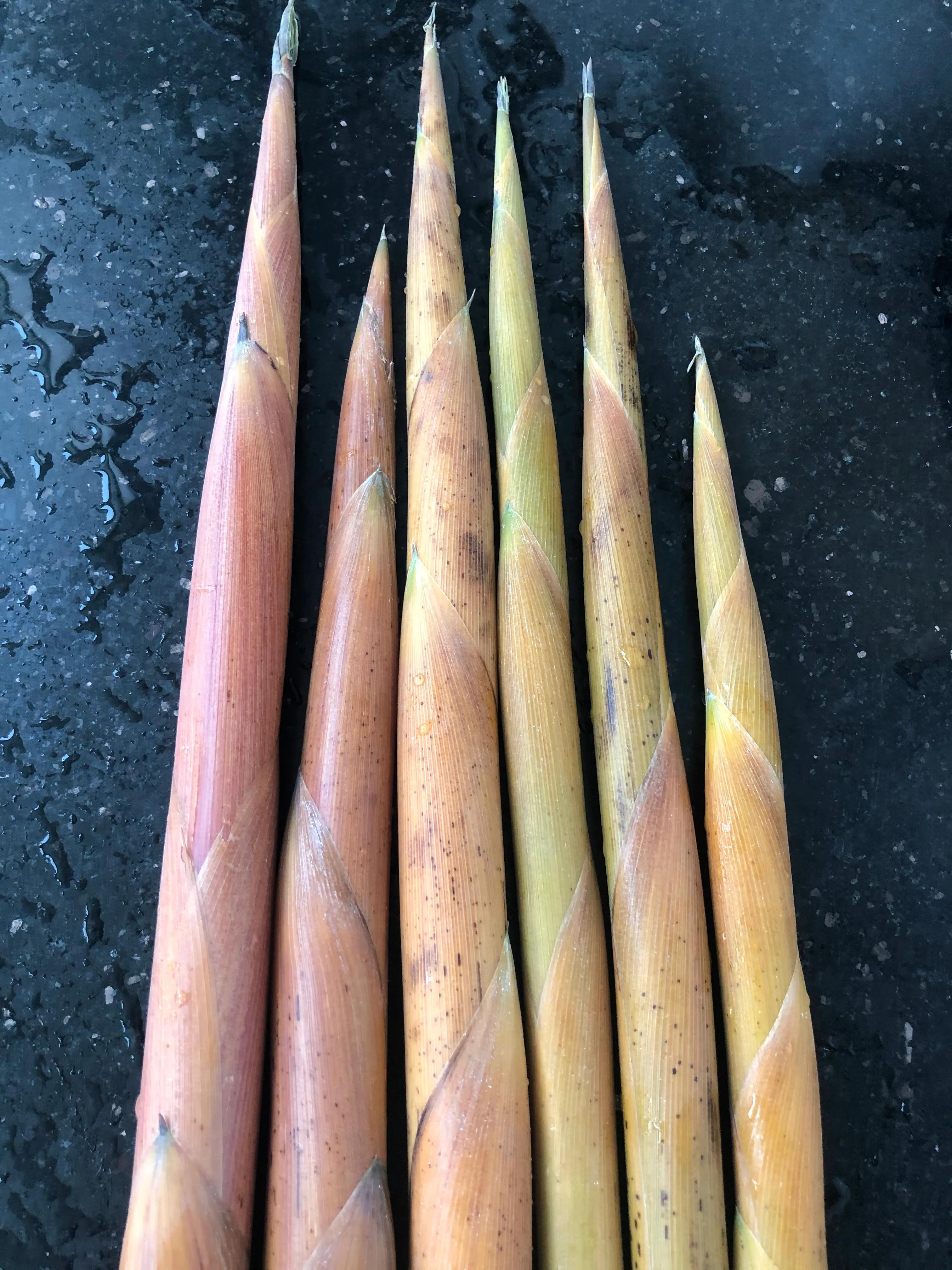 细竹笋怎么处理 - 风集网